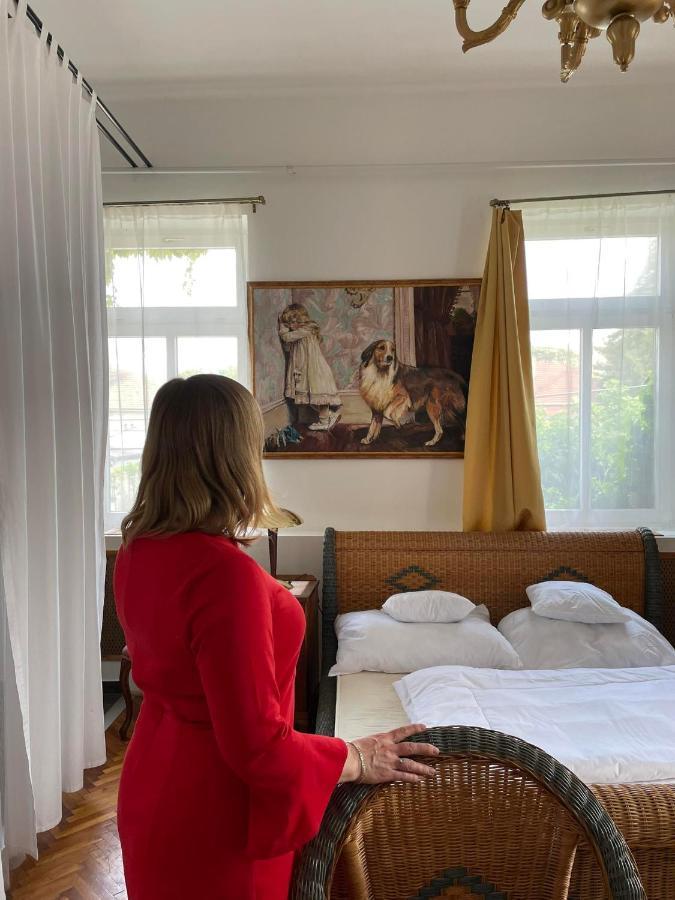 Villa Luca Mosonmagyaróvár Kültér fotó